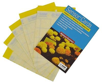 Yellow Sensor Monitor Card - 50 per package - Monitor Cards/ Sticky Tape